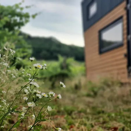 Pop Tiny House Balaton * Kaptalantoti