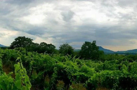 Pop Tiny House Balaton Kaptalantoti