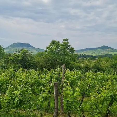 Apartmán Pop Tiny House Balaton *