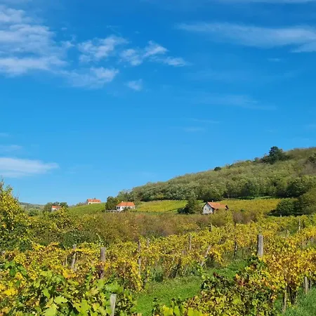 Apartmán Pop Tiny House Balaton *