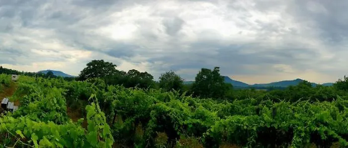 Pop Tiny House Balaton Kaptalantoti