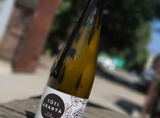 Pop Tiny House Balaton Kaptalantoti