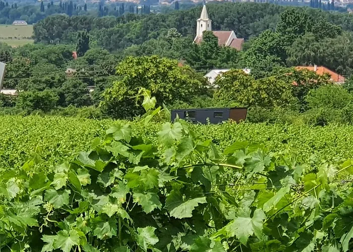 Pop Tiny House Balaton