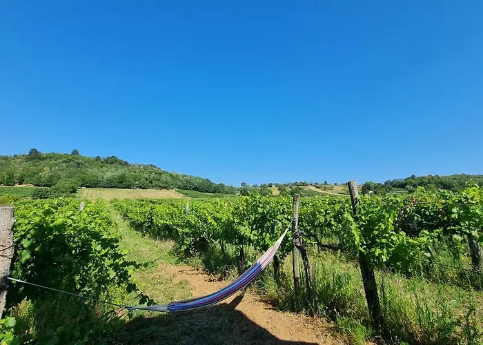 Pop Tiny House Balaton