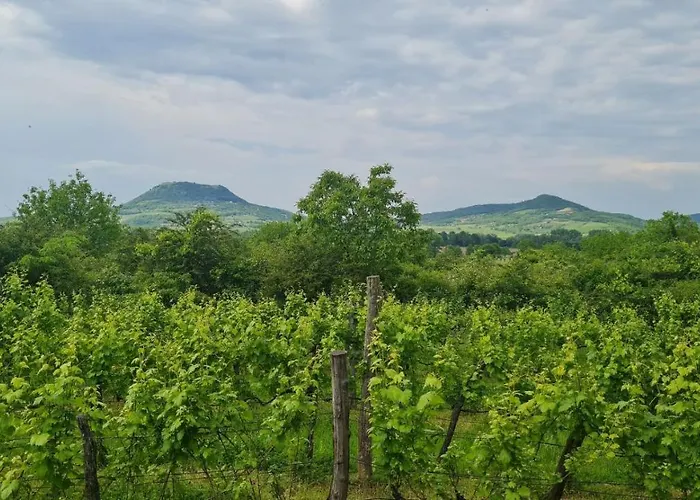 Apartmán Pop Tiny House Balaton *