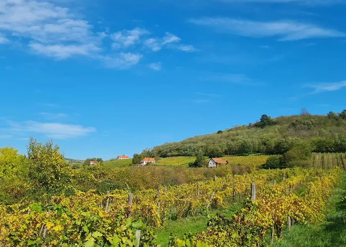 Apartmán Pop Tiny House Balaton *