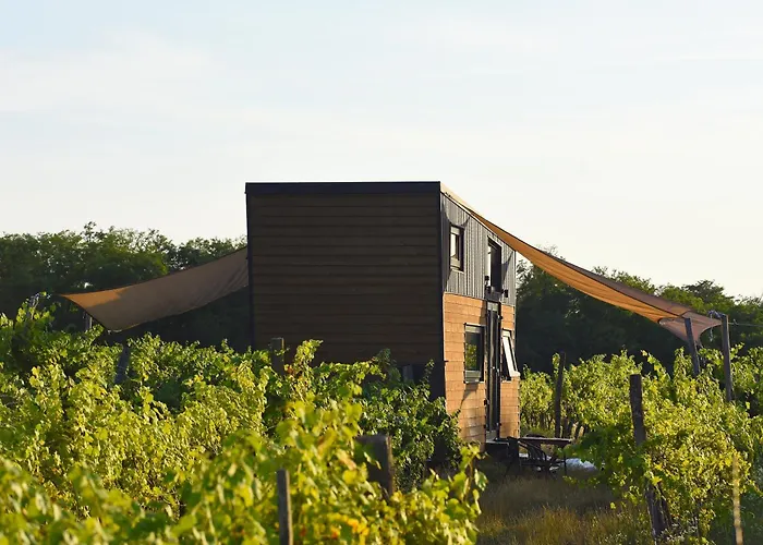 Pop Tiny House Balaton * Kaptalantoti